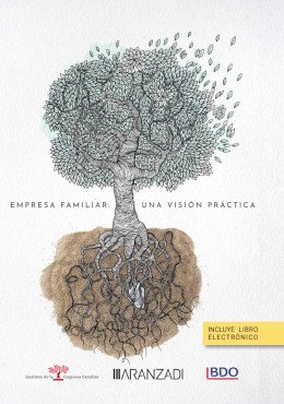 Empresa familiar: una visión práctica