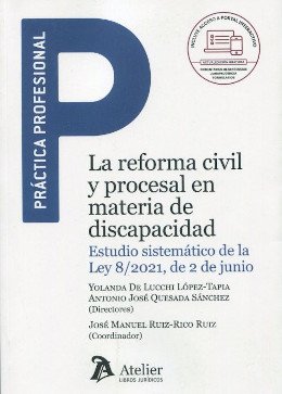 La reforma civil y procesal en materia de discapacidad