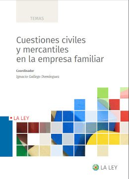 Cuestiones civiles y mercantiles en la empresa familiar