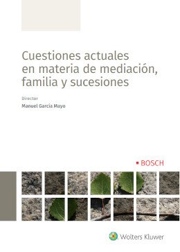 Cuestiones actuales en materia de mediación, familia y sucesiones