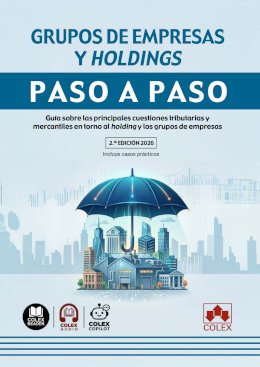 Grupos de empresas y Holdings paso a paso