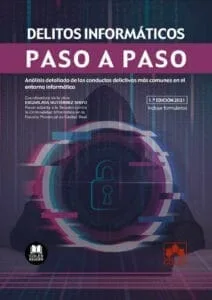 Delitos informáticos. Paso a paso