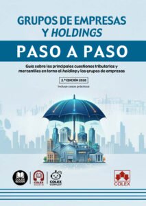 Grupos de empresas y Holdings paso a paso