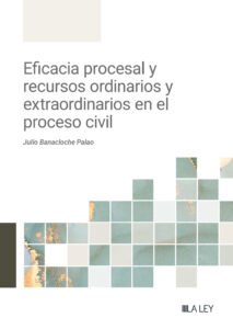 Eficacia procesal y recursos ordinarios y extraordinarios en el proceso civil