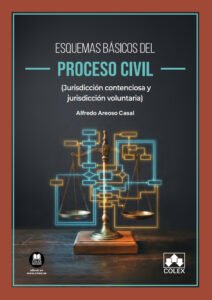 Esquemas básicos del proceso civil